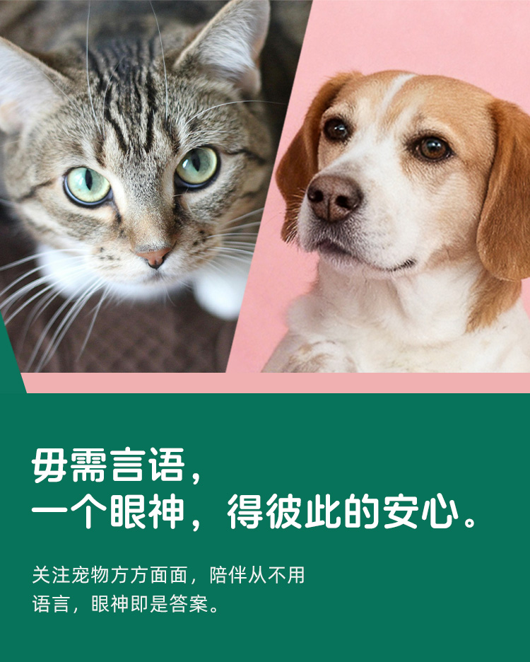 猫狗特写大横幅